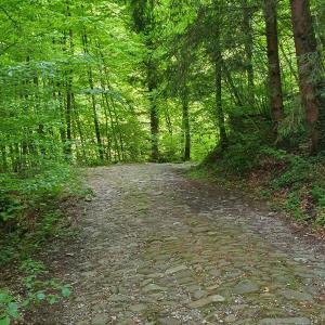 montée avant 
