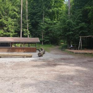 Pause au Bois à Ban