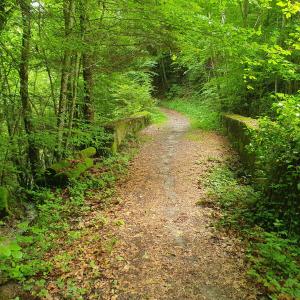 et passage sur le Ruisseau de Seigneux