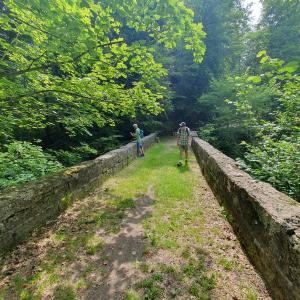 Entre Chêne Pâquier 