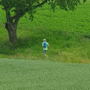 Le voilà en peine action