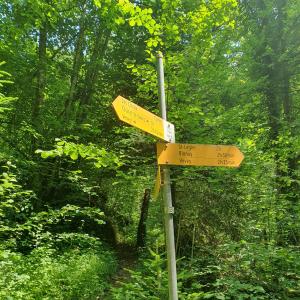 Attention la direction ...