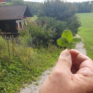 avant la montée finale ver Giffers (Chevrille). Le bonheur est avec nous!