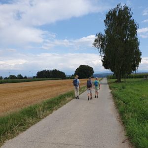 Route de 