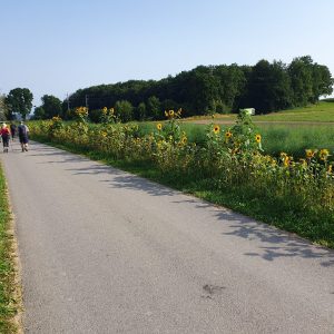 Jolie sortie de Giffers vers Schürli