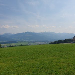 les hauts de 
