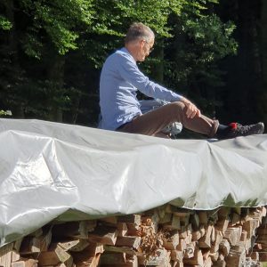 Bois de