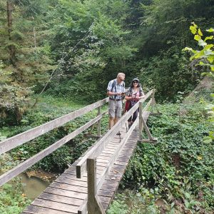Passage sur le Ruisseau des Vaux