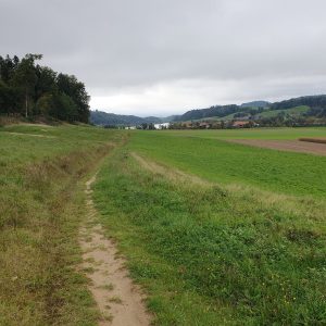 Aufeld.