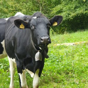 La copine de Eymatt