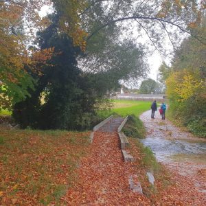 Arrivée à Granges-de-Vesin