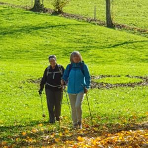 le pont sur la Mionna