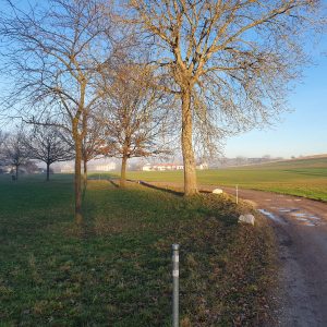 arrive sur la contrée.