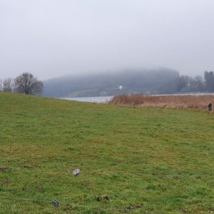 Le lac de Bret