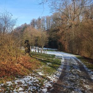 Au bord de la Glâne.