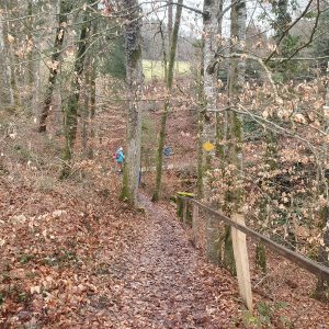 Après Rionbochet (Promasens)