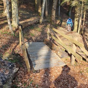 vers le haut de la falaise