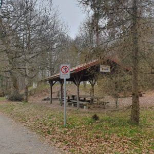 Dans la forêt à la hauteur de Russy