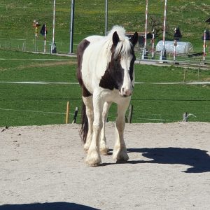 Une belle copine! et