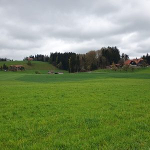 Ils sont loins ...après la séparation.