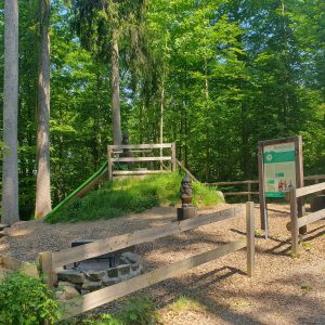 en forêt de 