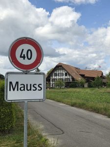 et quelques périgrinations voici Mauss (comme Mickey ...)