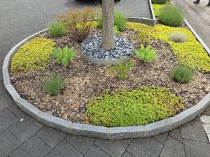 de belles déco 
