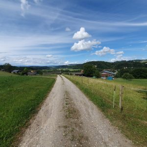 Route vers Wallenbuch (enclave fribourgeoise).
