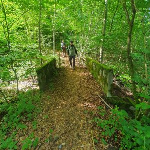 Descente vers le