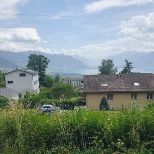 Le lac Léman