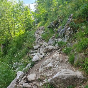 Le sentier est caillouteux