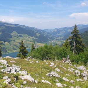 Le Lac Noir en arrivant