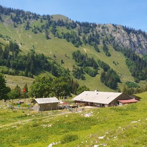 Ferme de la Brecca