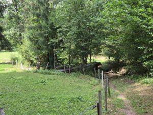 et le ruisseau qui se jette 