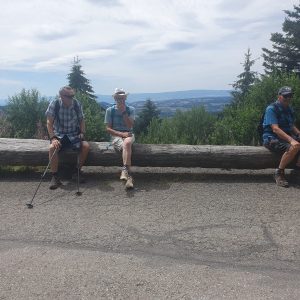 Arrêt vers la forêt Le Perry