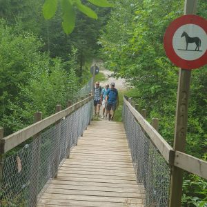 la passelele