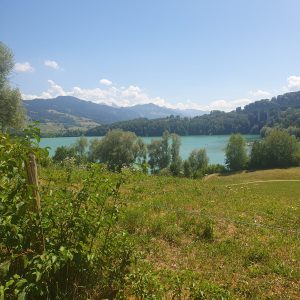 idéale.