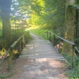 Entrée du Gros Devin