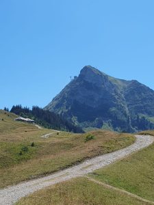 avec le Moléson pour compagnon!