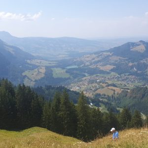 Une vue ...