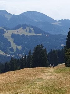 La Corbetta