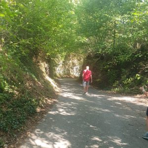 Descente