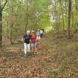 A partir de Grandsivaz, dans la 