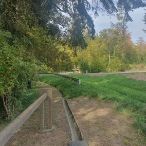 Traversée de la route avant 