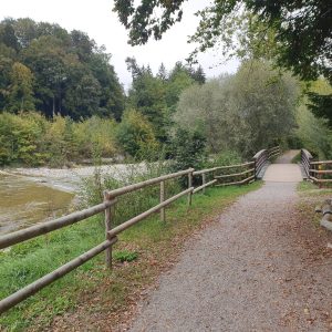 Le long de la Singine,pont