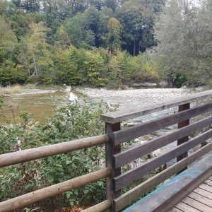 sur le Scherlibach