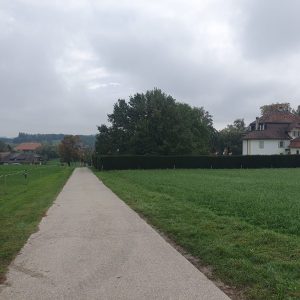 Torny son château ...