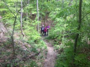 Dans la forêt