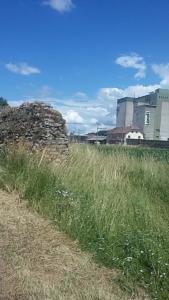 Limite d'Aventicum