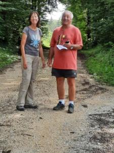 Chemins divergeant  au milieu de la forêt.
